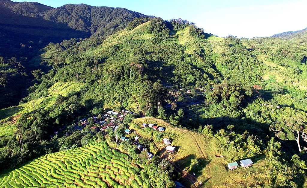 'Phu sâm' ở núi Ngọc Linh - Ảnh 1.