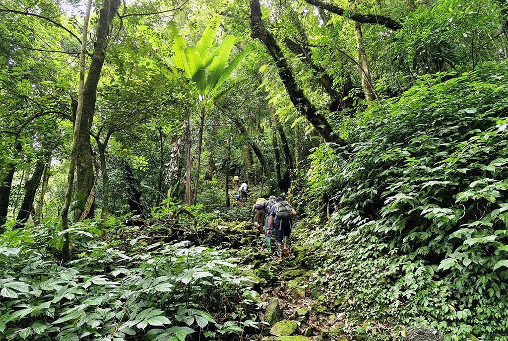 'Phu sâm' ở núi Ngọc Linh - Ảnh 5.