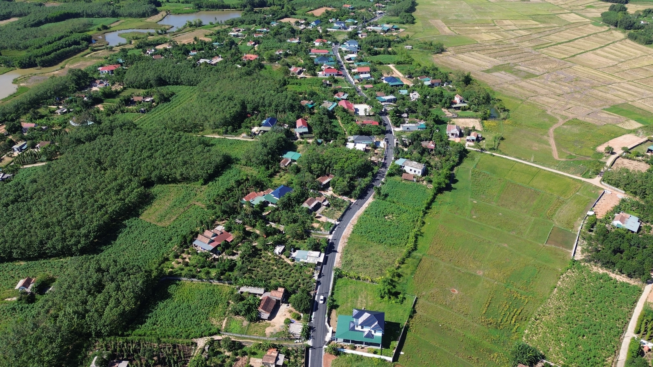Tập đoàn Sơn Hải tặng Quảng Trị con đường 12 tỉ, thi công 'thần tốc' 20 ngày - Ảnh 1.