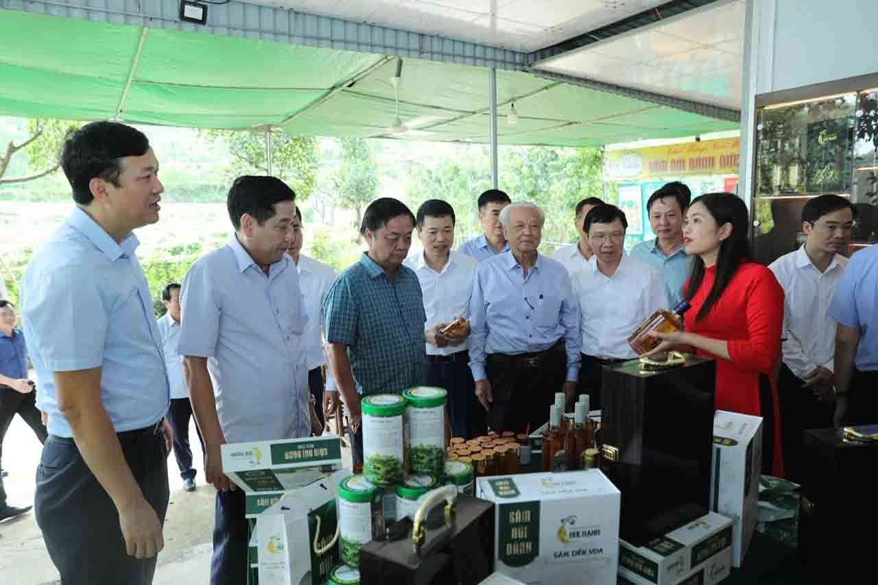 Dưới tán lá rừng , tương lai ngành dược liệu việt nam đang hé mở - Ảnh 1. Dưới tán lá rừng , tương lai ngành dược liệu việt nam đang hé mở - Ảnh 1.