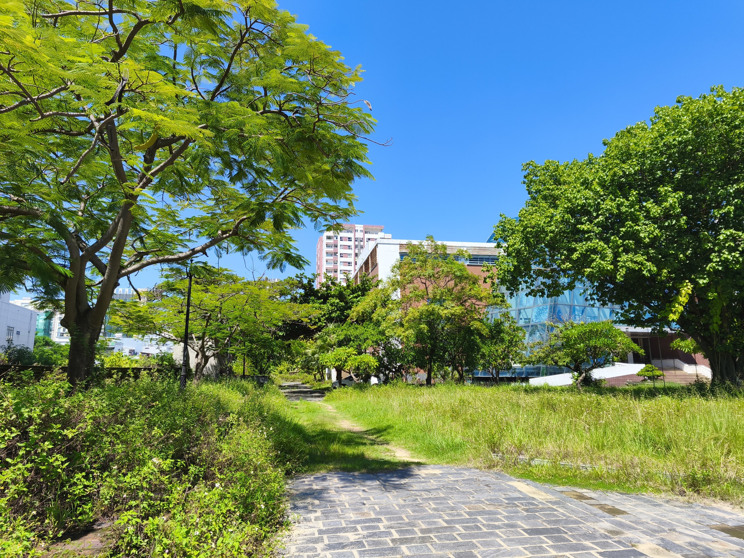 Milyen építményeket fognak helyreállítani a Dien Hai fellegvárban? - 15. kép Bên trong thành Điện Hải sẽ phục dựng những công trình nào?- Ảnh 15.