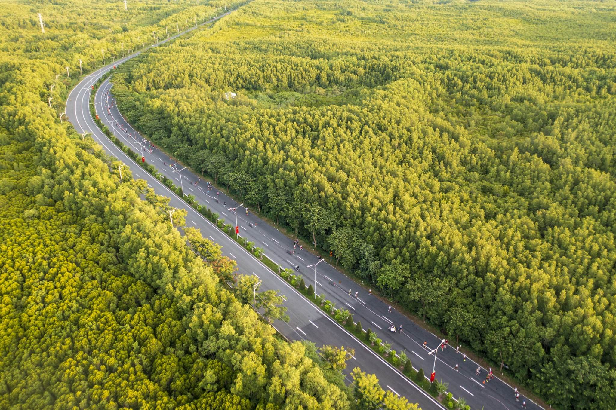 HDBank Green Marathon 2025 - Místo setkání zelených kroků a digitálního života - Foto 2. HDBank Green Marathon 2025 - Điểm hẹn của những bước chân xanh và nhịp sống số - Ảnh 2.