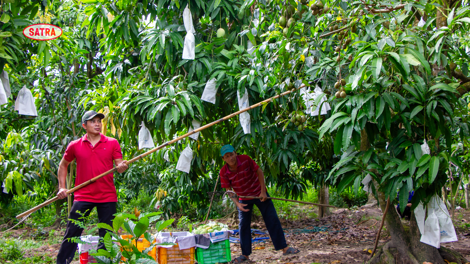 COFIDEC tiên phong chuyển đổi xanh, nâng tầm vị thế bền vững ngành thủy sản Việt Nam - Ảnh 3.