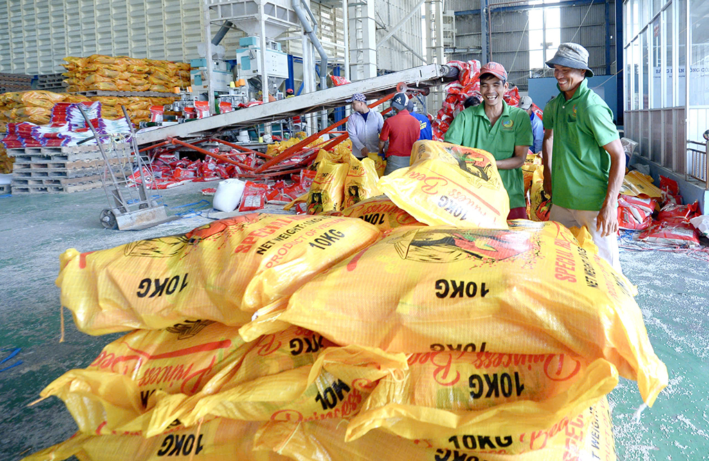 Giá lúa gạo đã tăng trở lại- Ảnh 1.
