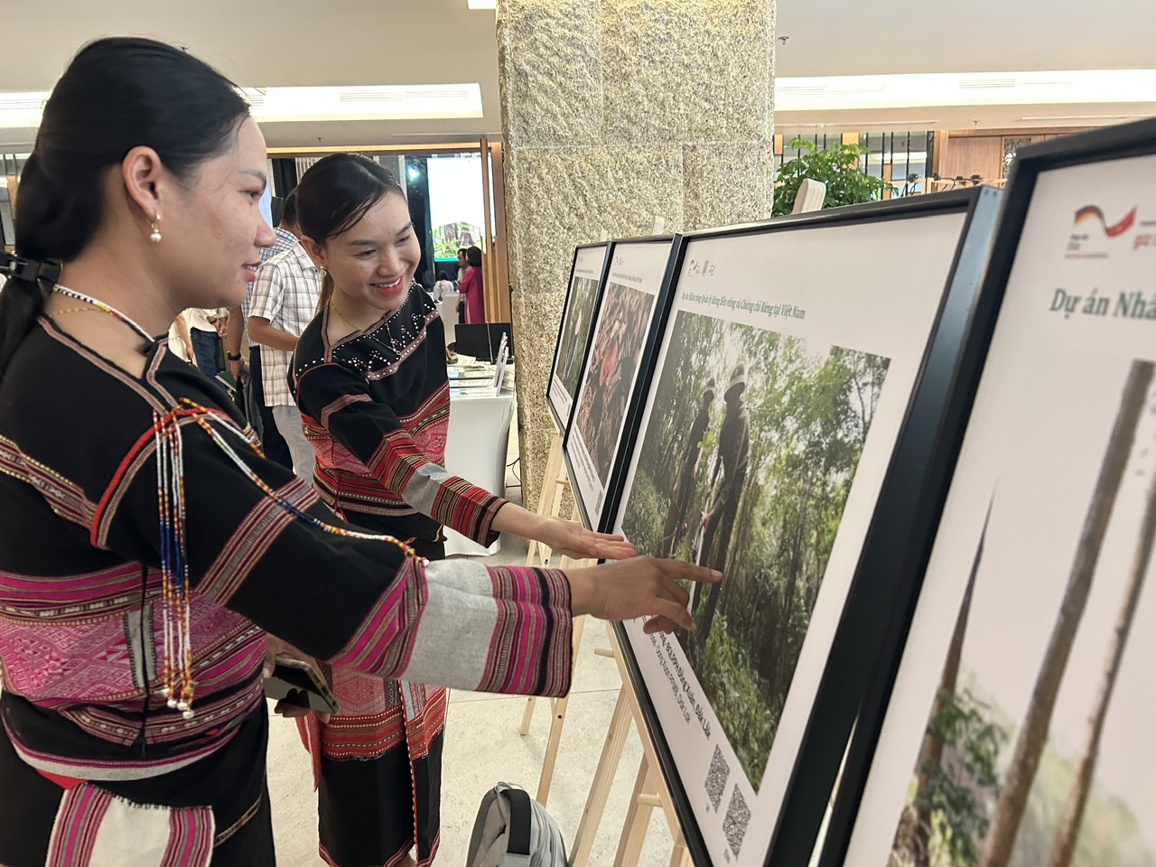 Hướng đến tương lai rừng gỗ lớn cho Việt Nam - Ảnh 5.