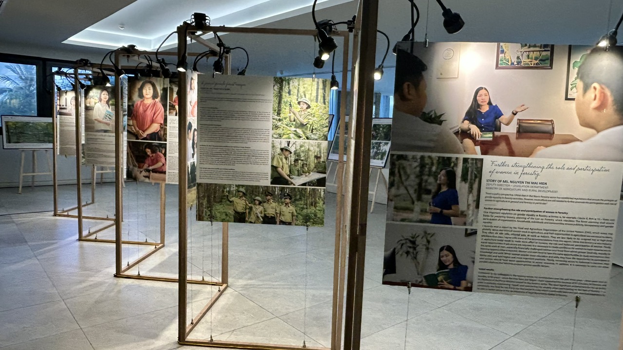 Hướng đến tương lai rừng gỗ lớn cho Việt Nam - Ảnh 6.