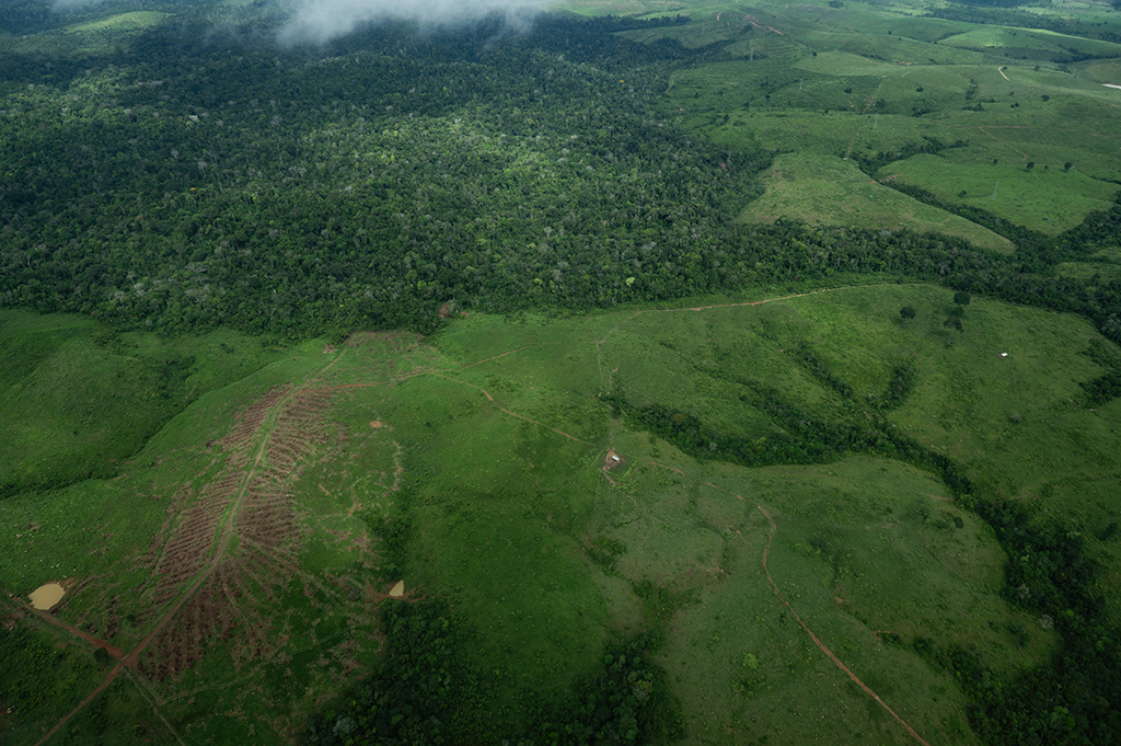 Tầng ozone trên đà hồi phục, rừng Amazon lại thu hẹp đáng kể - Ảnh 1.