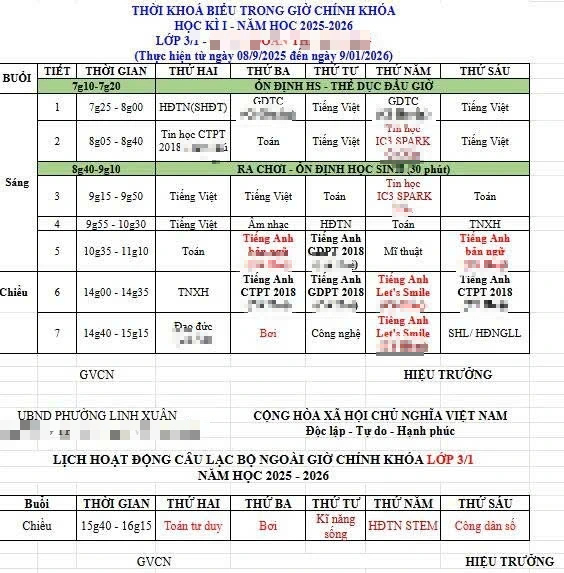 Pais estão descontentes com disciplinas opcionais no currículo escolar na cidade de Ho Chi Minh - Foto 2. Phụ huynh bức xúc về môn tự nguyện trong giáo dục tại TP . HCM - Ảnh 2.