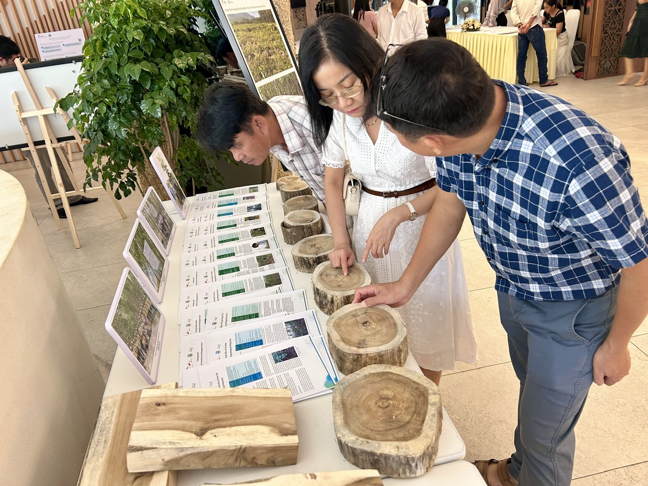 Hướng đến tương lai rừng gỗ lớn cho Việt Nam - Ảnh 4.