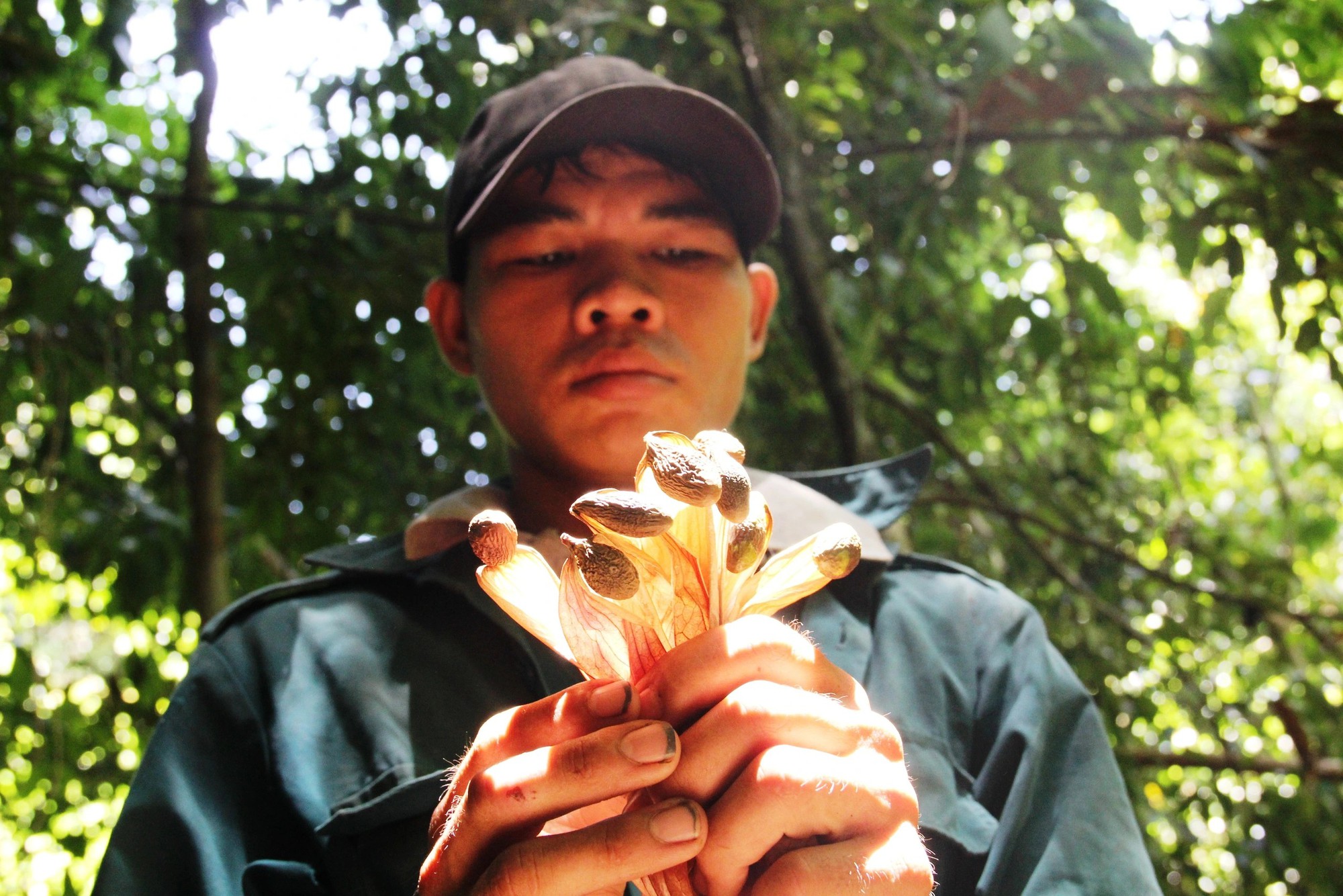 - Ảnh 1. - Ảnh 1.