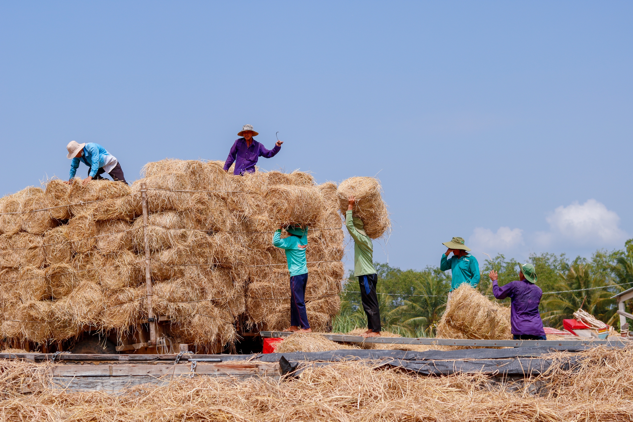Những ng&ocirc;i chợ độc nhất miền T&acirc;y: Chợ rơm Ba Lai, nơi r&aacute;c ruộng h&oacute;a 'v&agrave;ng'   - Ảnh 3.