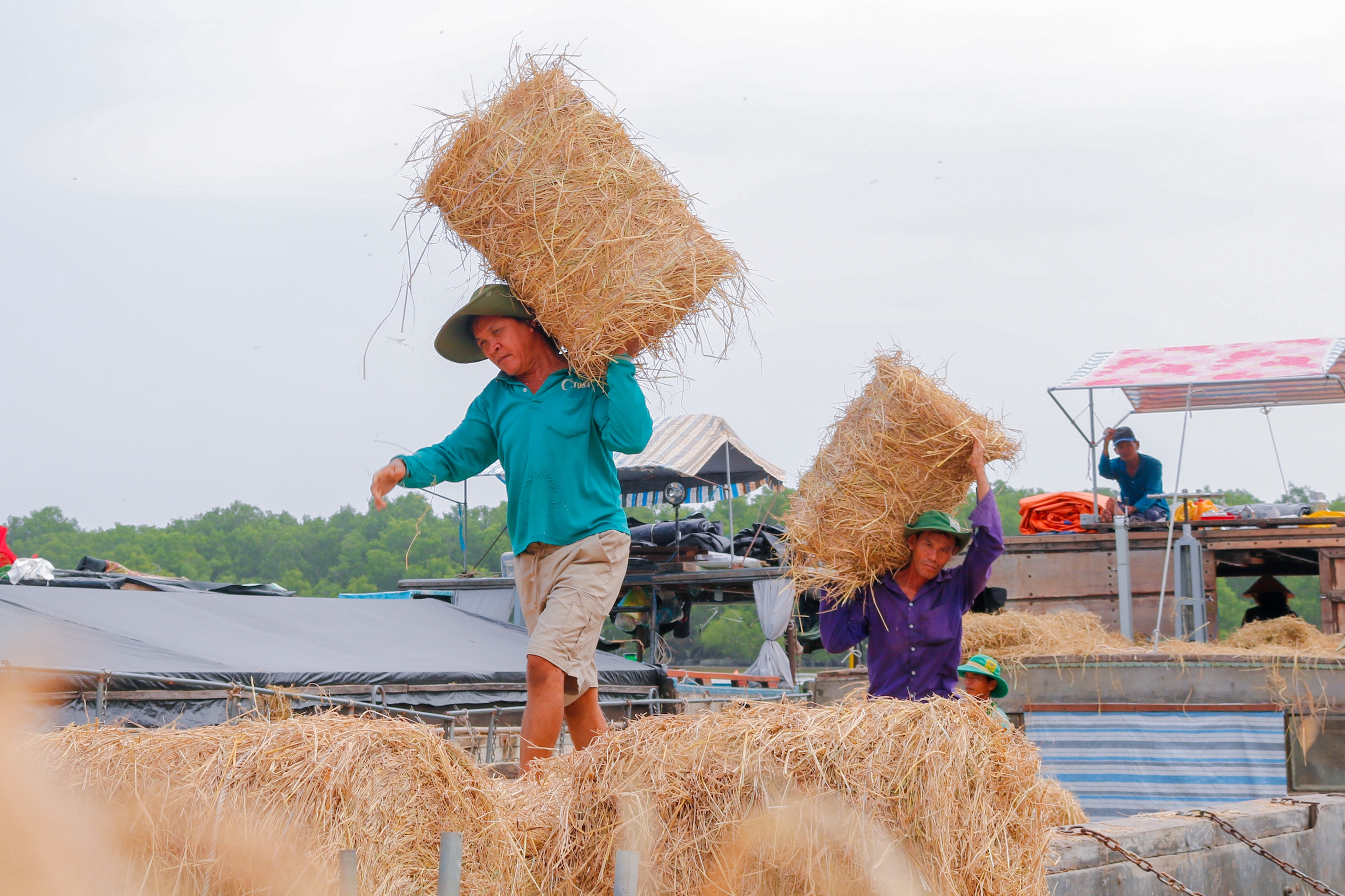 Những ng&ocirc;i chợ độc nhất miền T&acirc;y: Chợ rơm Ba Lai, nơi r&aacute;c ruộng h&oacute;a 'v&agrave;ng'   - Ảnh 5.