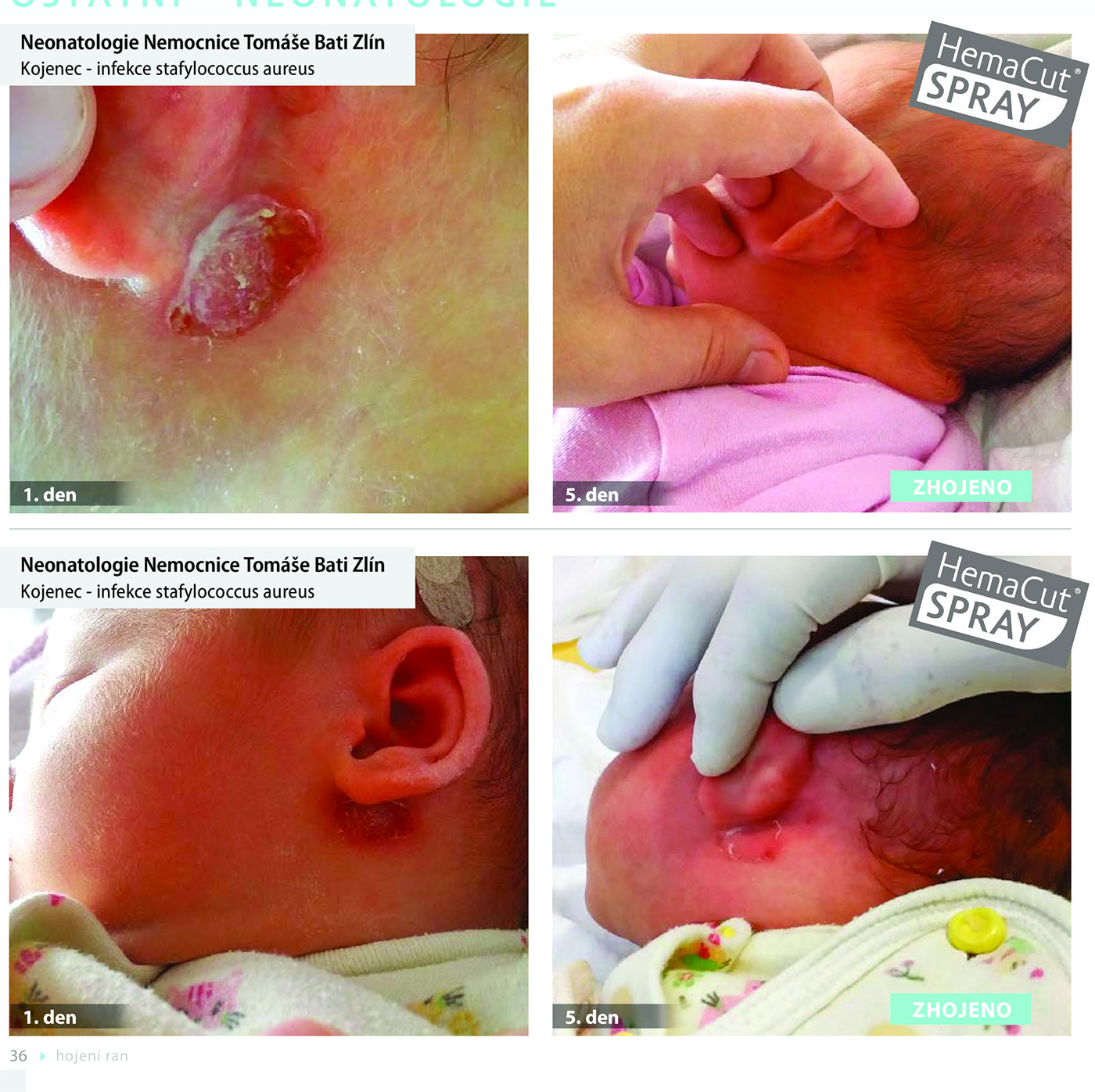 - Fotoğraf 2.  - Ảnh 2.