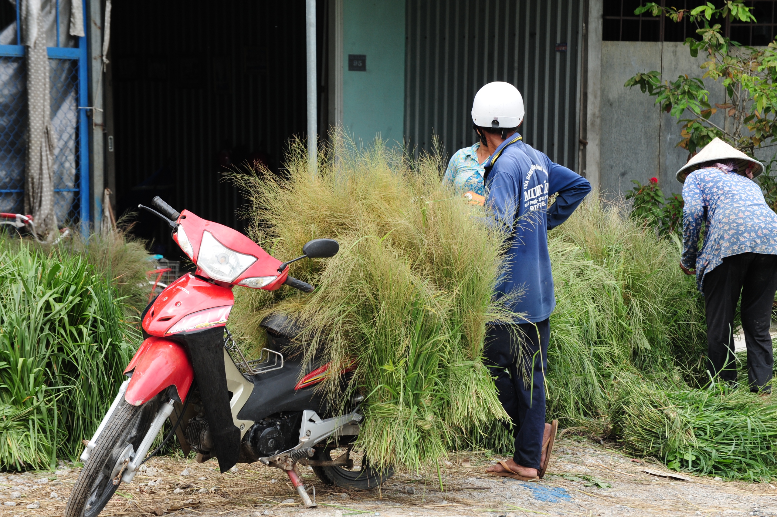 Những ngôi chợ độc nhất miền Tây: Chợ cỏ Ô Lâm, 'nồi cơm' vùng Bảy Núi  - Ảnh 6.