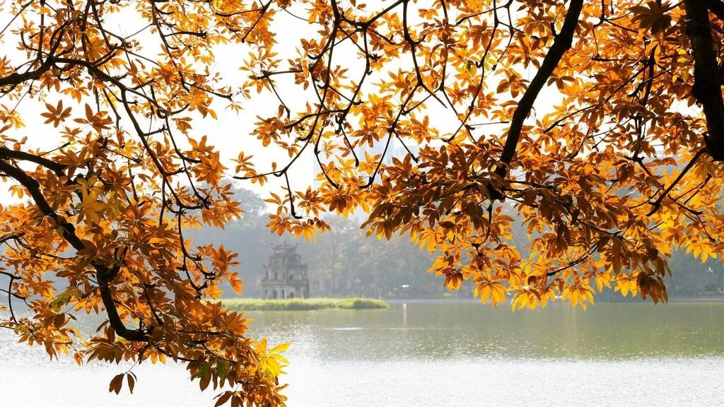 Điểm đến ở Việt Nam vào top ngắm lá mùa thu đẹp nhất châu Á- Ảnh 5. Điểm đến ở Việt Nam vào top ngắm lá mùa thu đẹp nhất châu Á- Ảnh 5.