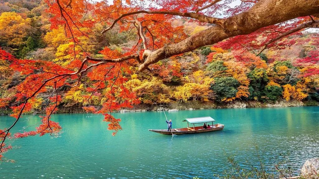 Điểm đến ở Việt Nam vào top ngắm lá mùa thu đẹp nhất châu Á- Ảnh 6. Điểm đến ở Việt Nam vào top ngắm lá mùa thu đẹp nhất châu Á- Ảnh 6.