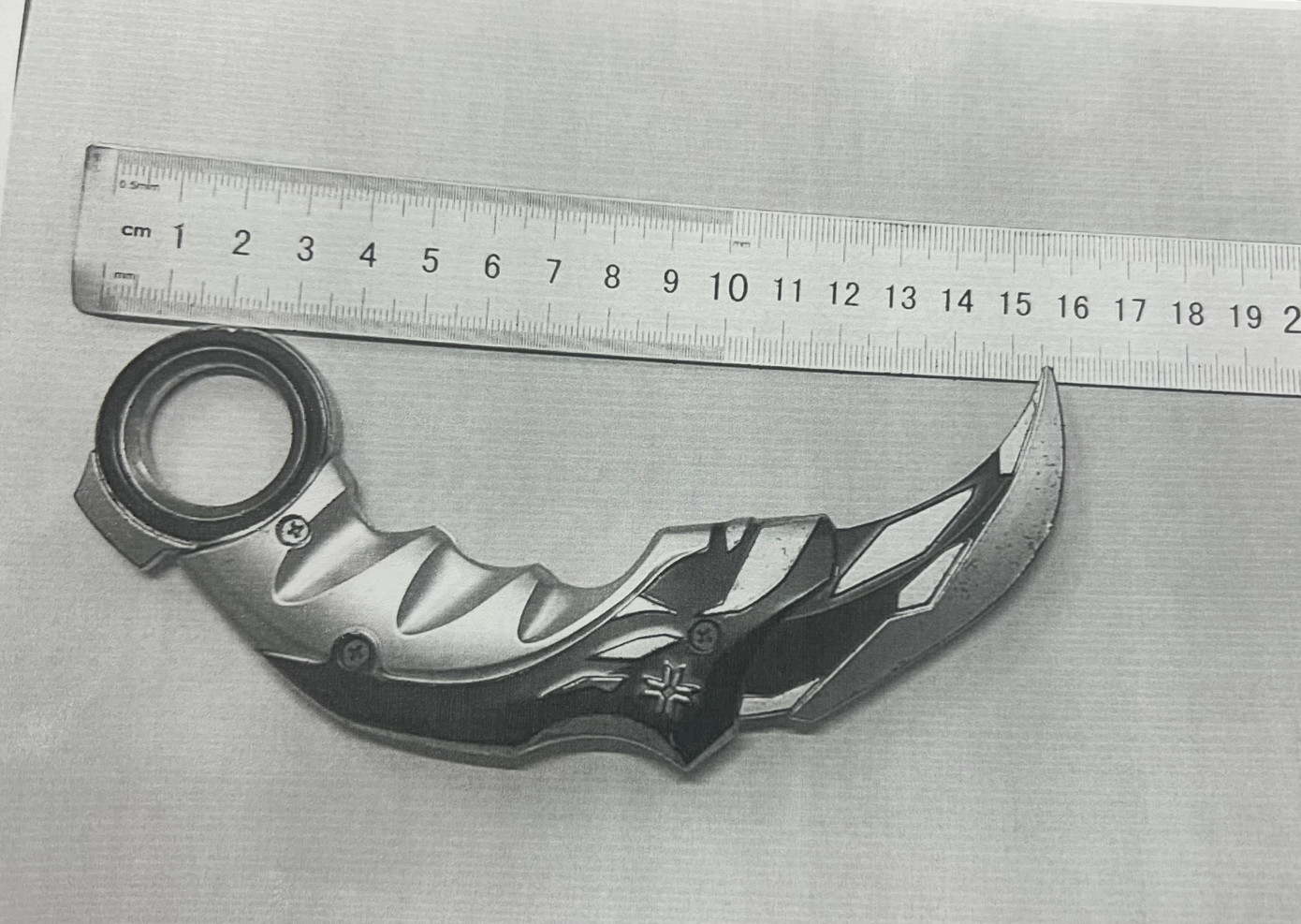 - Photo 2. - Ảnh 2.