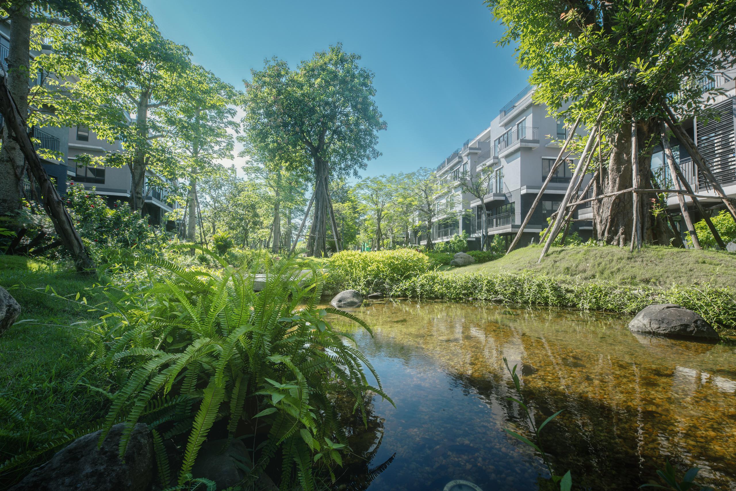 Khởi công trường liên cấp FPT tại đô thị Eco Central Park của nhà sáng lập Ecopark- Ảnh 4.