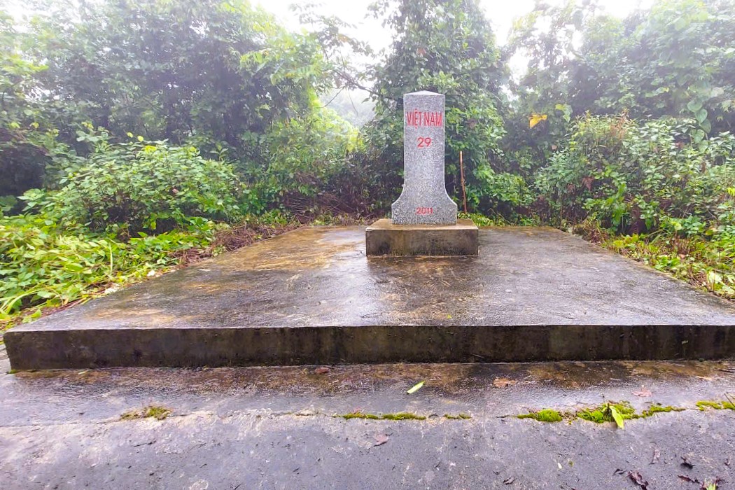 - Ảnh 5. - Ảnh 5.