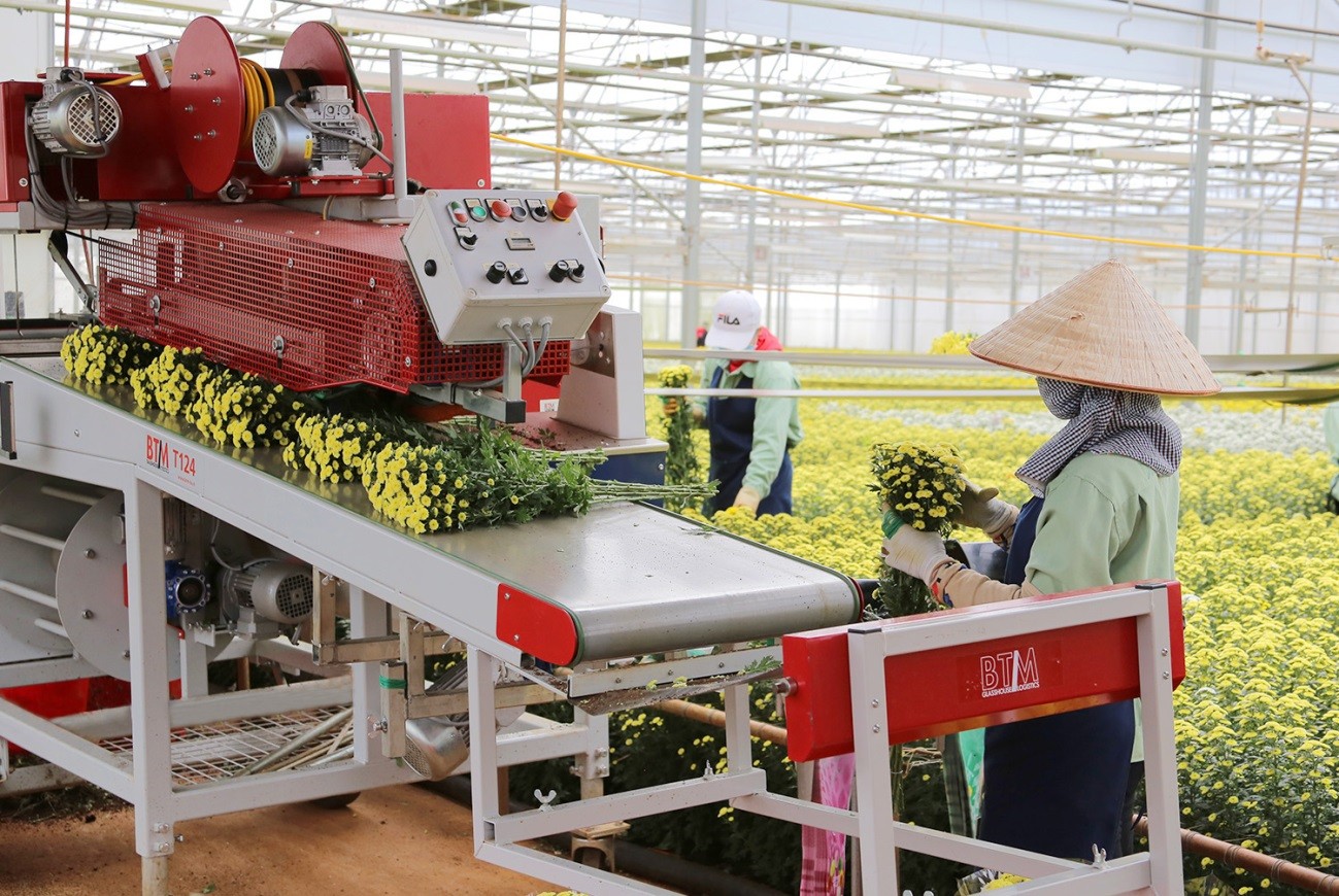 Dalat Hasfarm mua lại 100% cổ phần của Lynch Group- Ảnh 2. Dalat Hasfarm mua lại 100% cổ phần của Lynch Group- Ảnh 2.