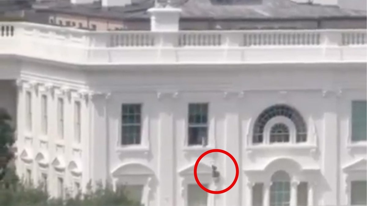 Tổng thống Trump phản ứng về video chiếc túi đen bí ẩn ném ra từ Nhà Trắng - Ảnh 1.