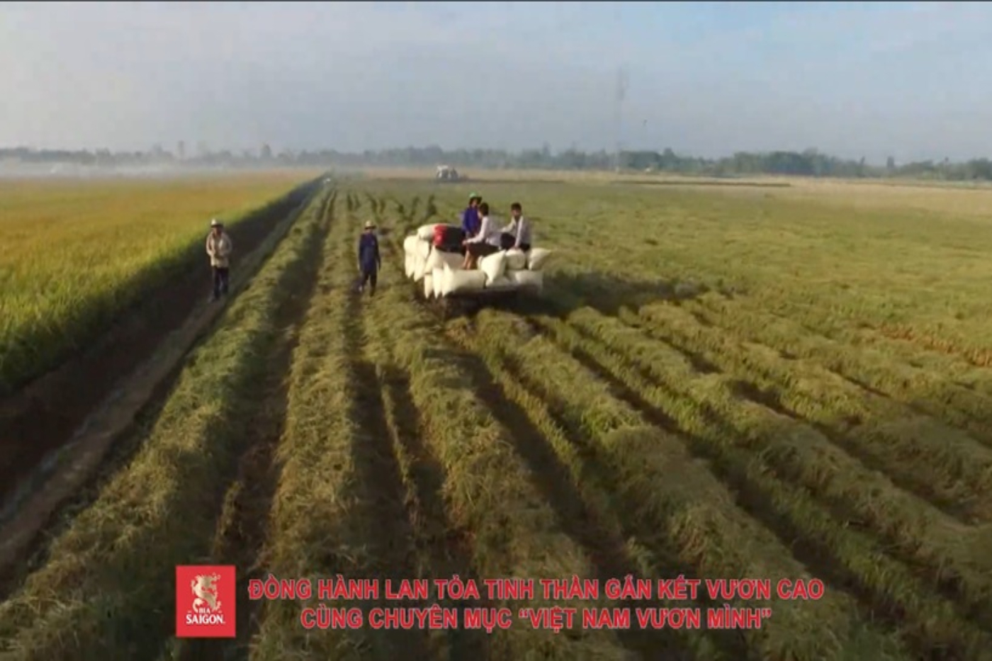 Bia Saigon - viết tiếp câu chuyện mang giá trị tốt đẹp trong Việt Nam Vươn Mình - Ảnh 4.