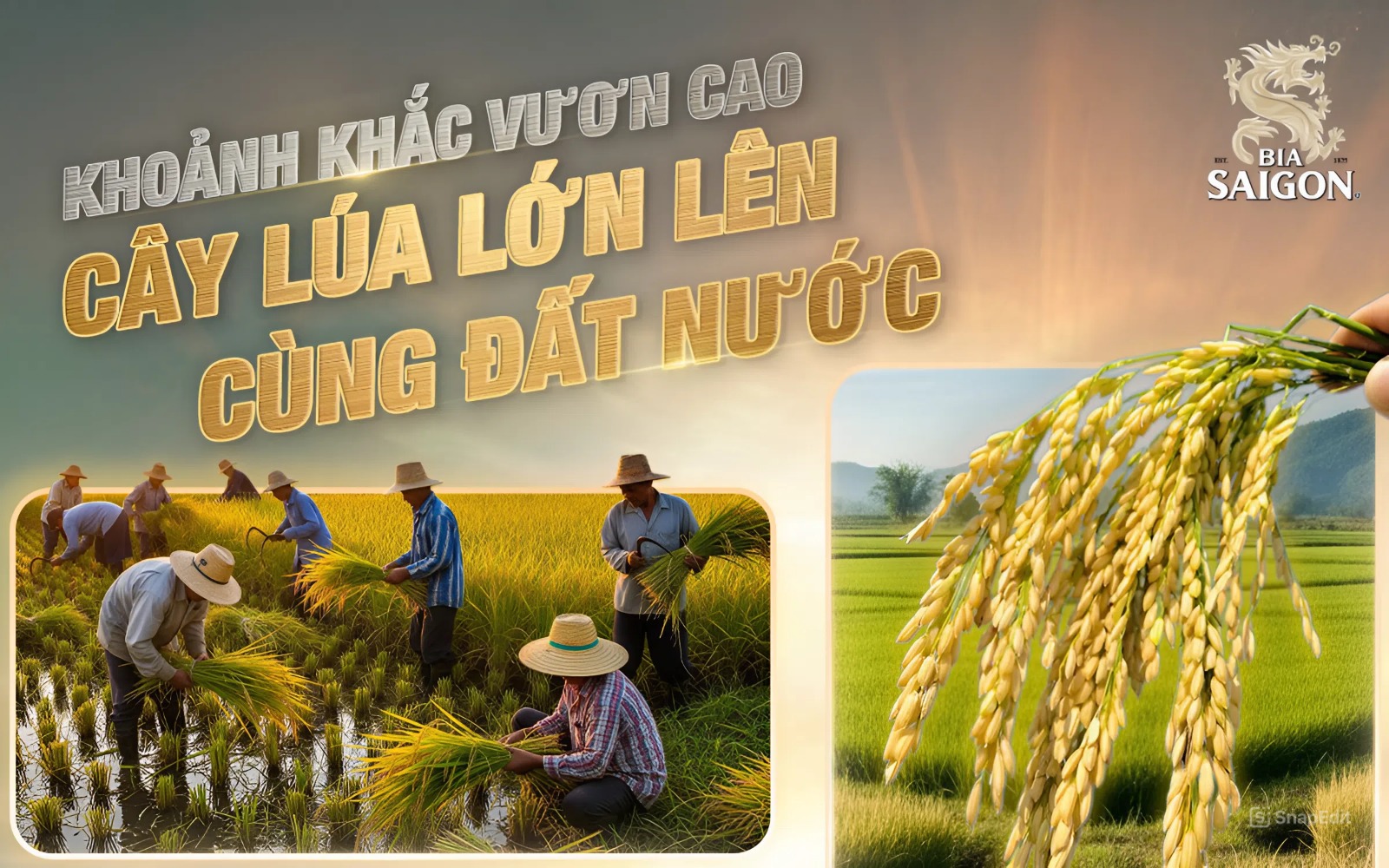 Bia Saigon - viết tiếp câu chuyện mang giá trị tốt đẹp trong Việt Nam Vươn Mình - Ảnh 1.