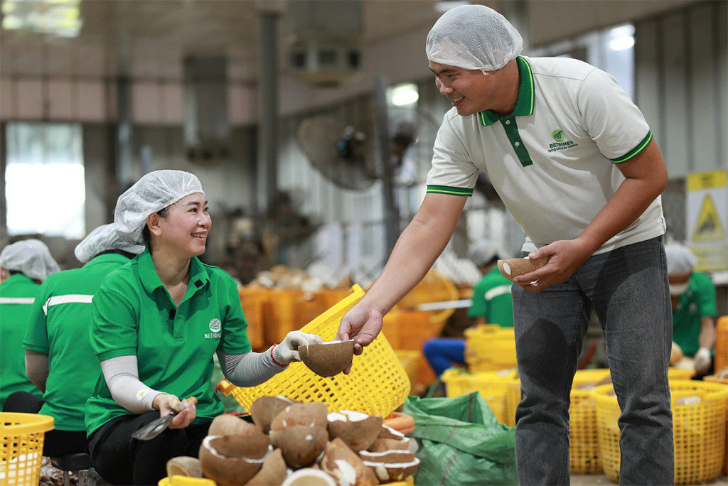 Đưa dừa thành ngành công nghiệp tỉ USD- Ảnh 4. Đưa dừa thành ngành công nghiệp tỉ USD- Ảnh 4.