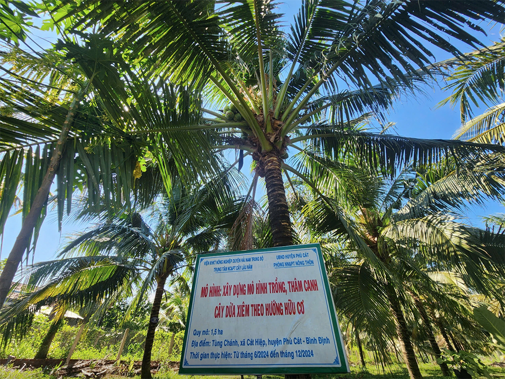 Đưa dừa thành ngành công nghiệp tỉ USD- Ảnh 2. Đưa dừa thành ngành công nghiệp tỉ USD- Ảnh 2.