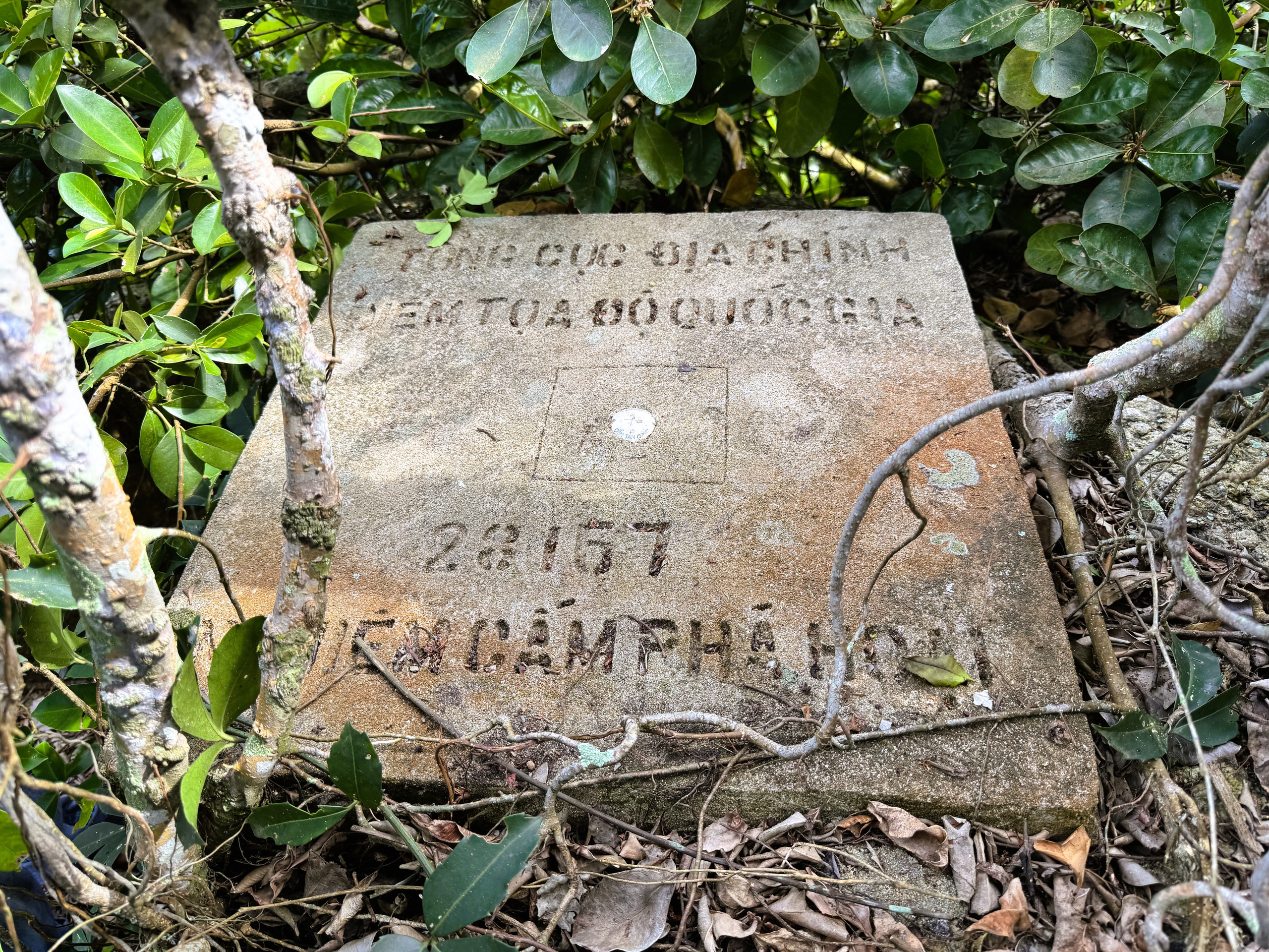  - Ảnh 12.