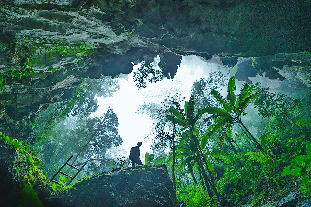 Ngành văn hóa thi đua yêu nước - Ảnh 1.