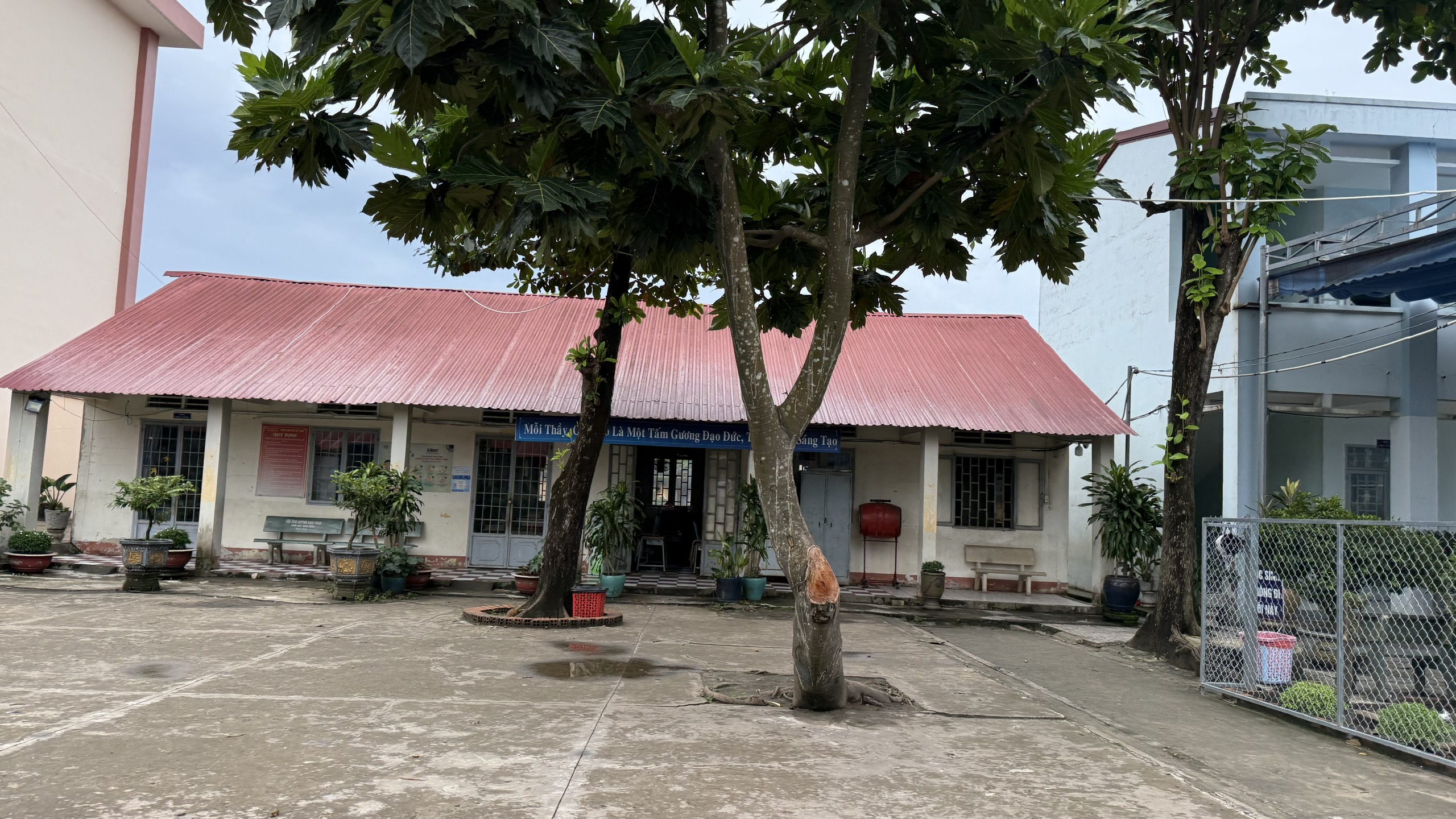 TP.HCM: Trường tiểu học Vĩnh Tân đã có 100 bộ bàn ghế mới - Ảnh 2.