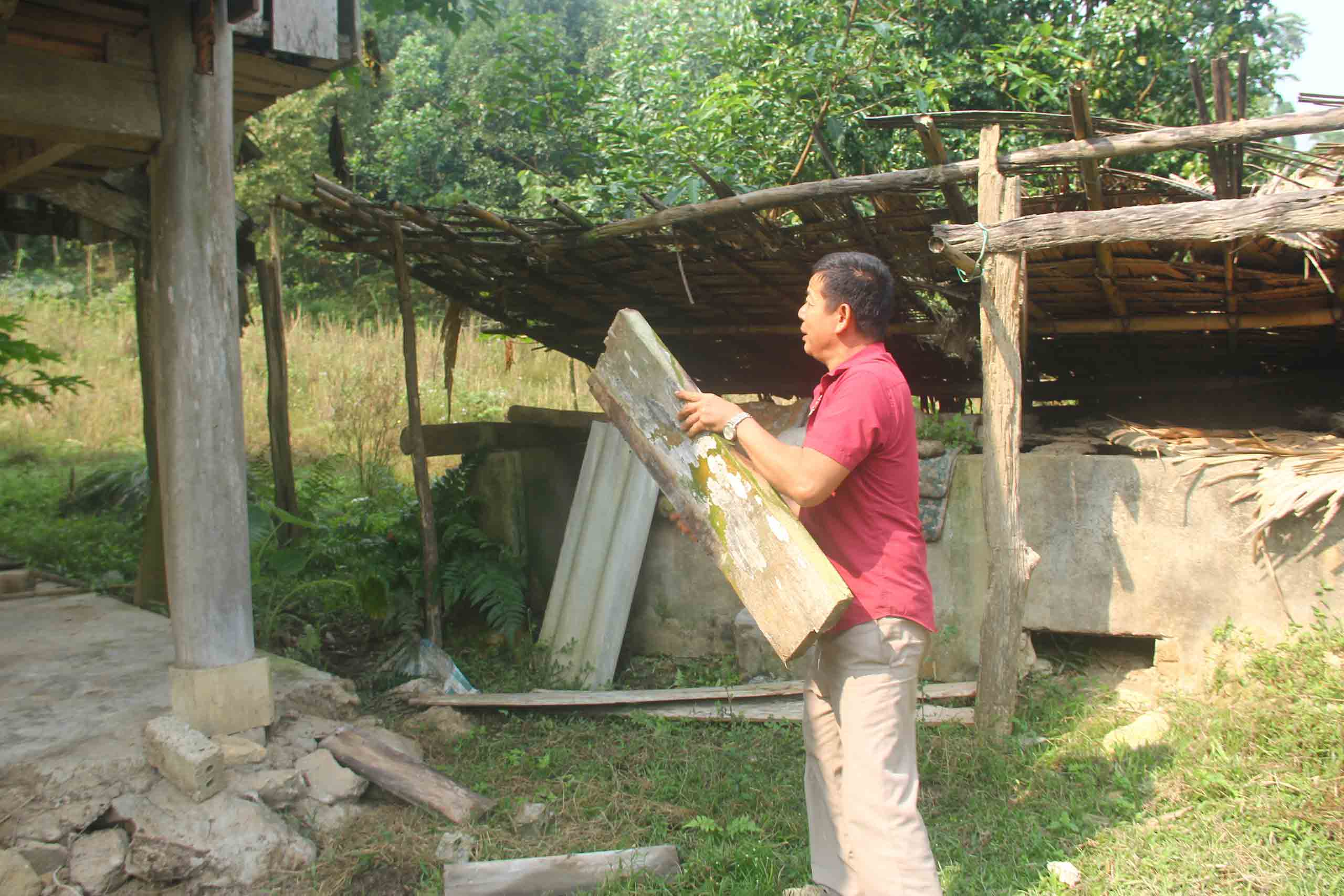 Cấp thiết bảo tồn voi: Ngăn chặn suy giảm  số lượng và quần thể - Ảnh 3.