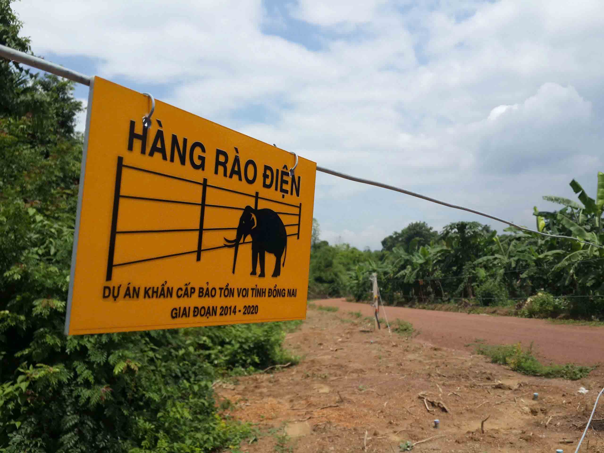 Bảo tồn voi rừng Đồng Nai: Đấu trí với hàng rào điện để bảo vệ thiên nhiên - Ảnh 1.