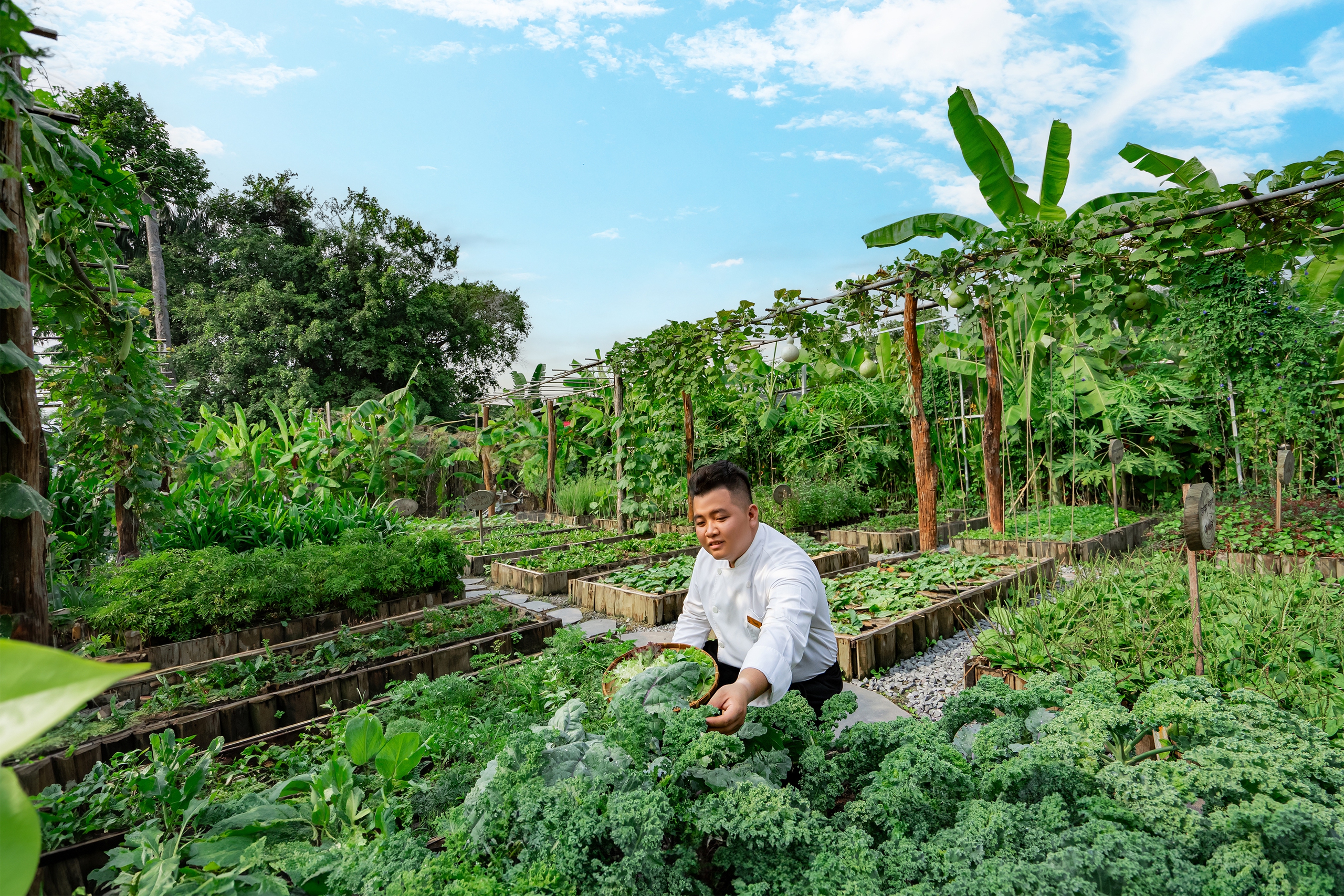 An Lâm Retreats Saigon River và hành trình 15 năm vun đắp những vòng tròn bền vững - Ảnh 3.