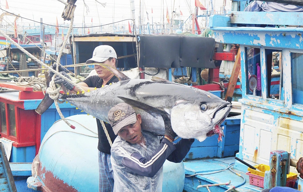 Quyết tâm gỡ thẻ vàng IUU trong năm nay- Ảnh 1.