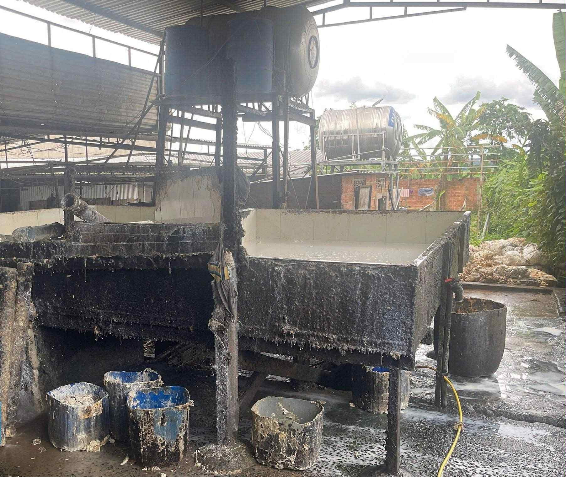 Chế biến mủ cao su kh&ocirc;ng ph&eacute;p g&acirc;y &ocirc; nhiễm- Ảnh 3.