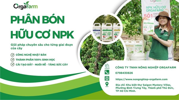 Vì sao nông dân chuyển sang h…