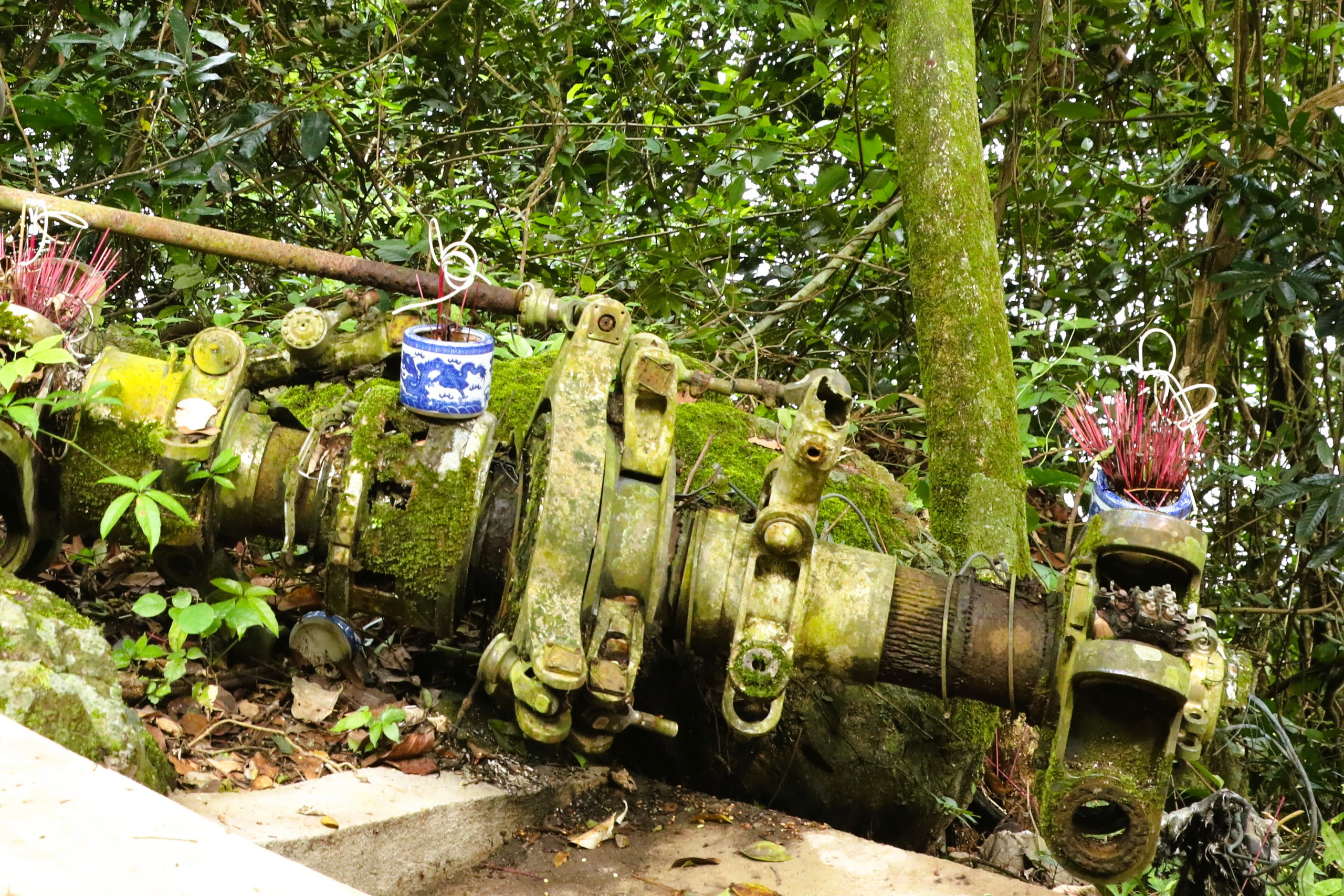 Kỳ 5: Hòn Mê trên biển Thanh Hóa - Ảnh 14.