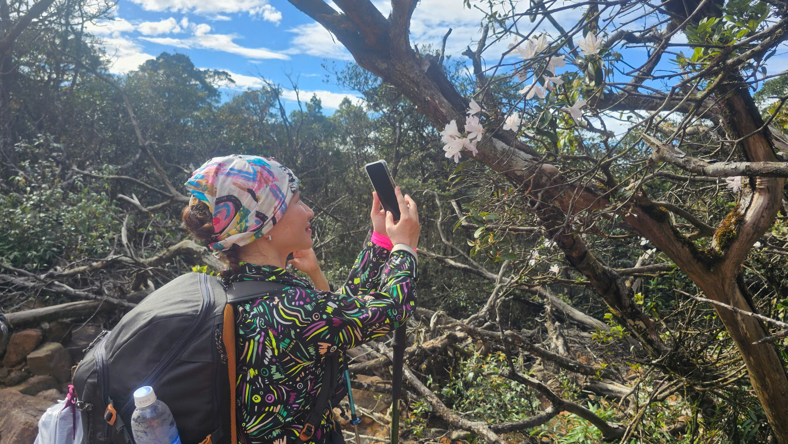 Quảng Trị có thêm tour du lịch trekking chinh phục đỉnh Voi Mẹp- Ảnh 3.