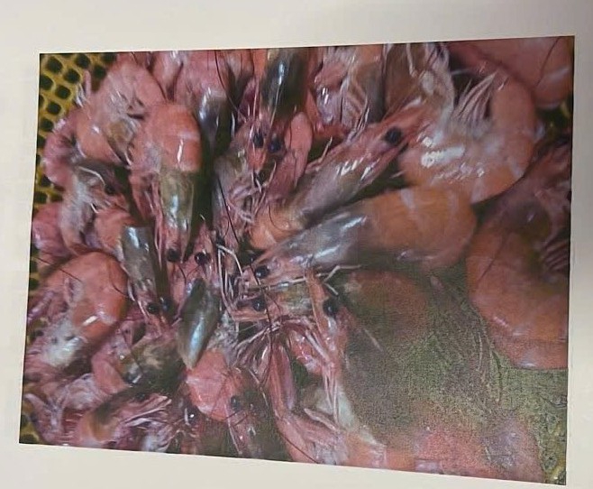 Případ informací o špinavých potravinách ve školách: Pozastavení ředitele na 15 dní - Foto 4. Vụ thông tin thực phẩm bẩn vào trường học: Đình chỉ công tác hiệu trưởng 15 ngày- Ảnh 4.