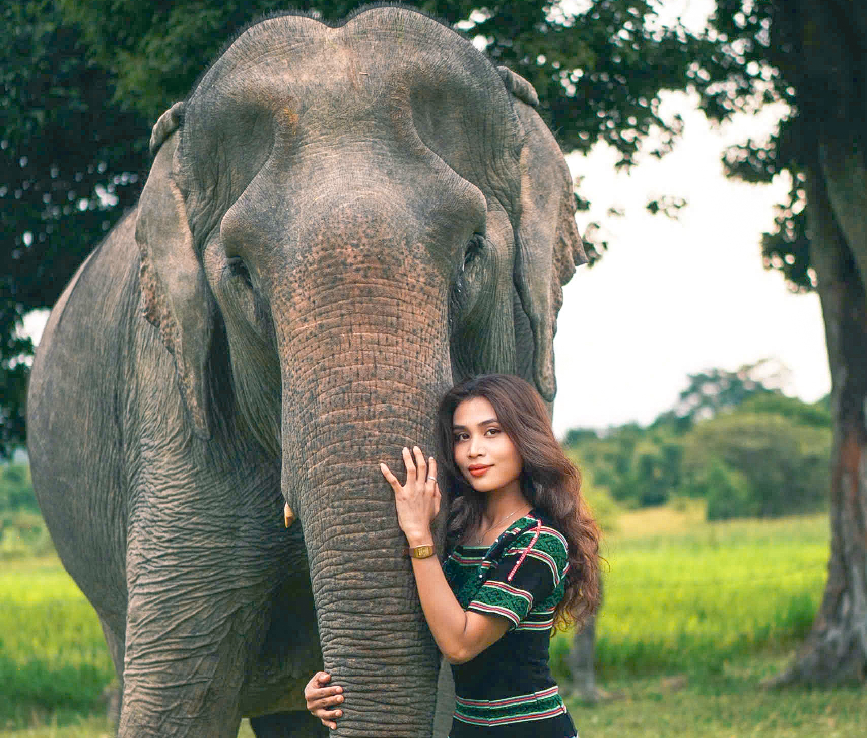 Voi nhà H’Tâu và đôi mắt ‘biết nói’ - Ảnh 4.