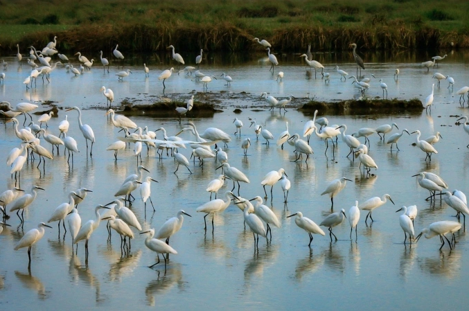 Dự án công viên Hùng Vương - Phan Thiết từng 'dậy sóng' dư luận giờ ra sao?- Ảnh 5.