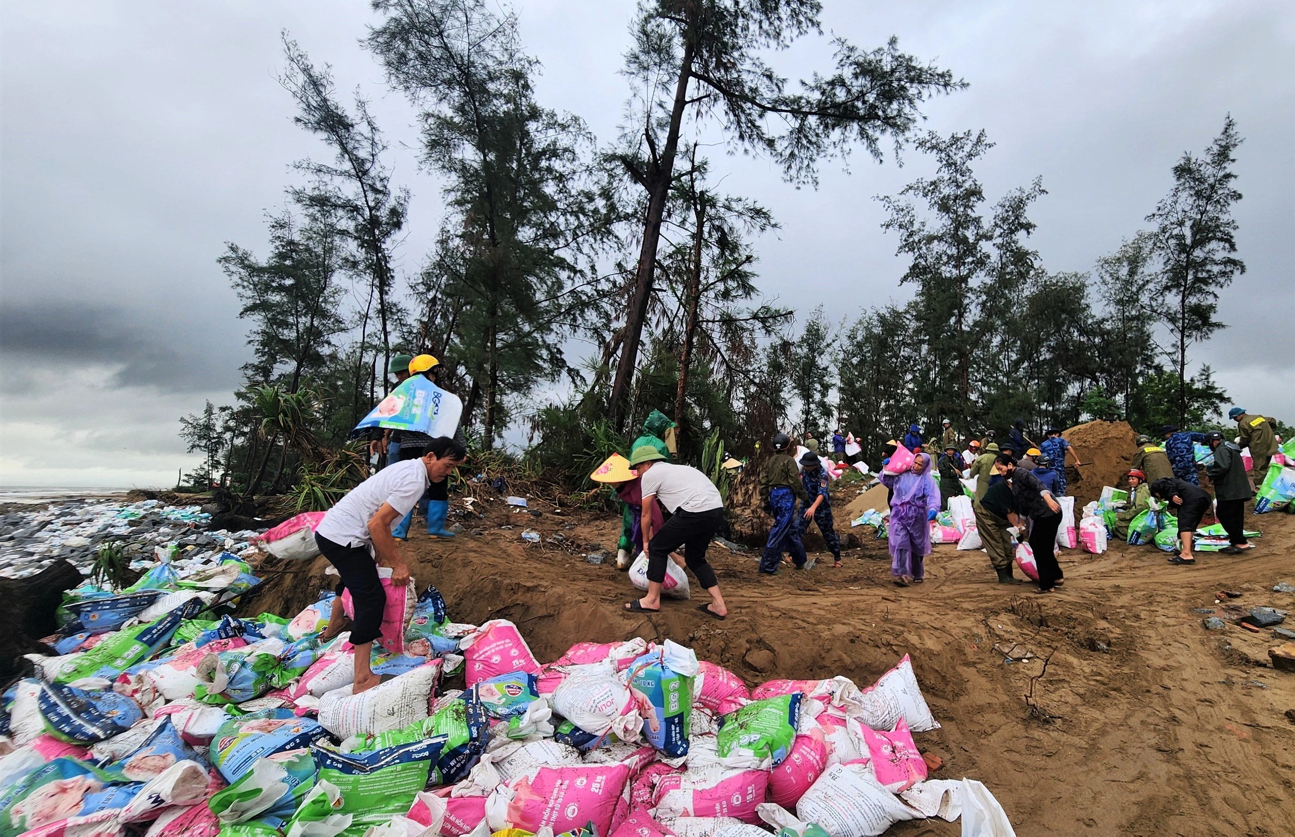 Gấp rút ứng phó bão số 10 - Ảnh 1.