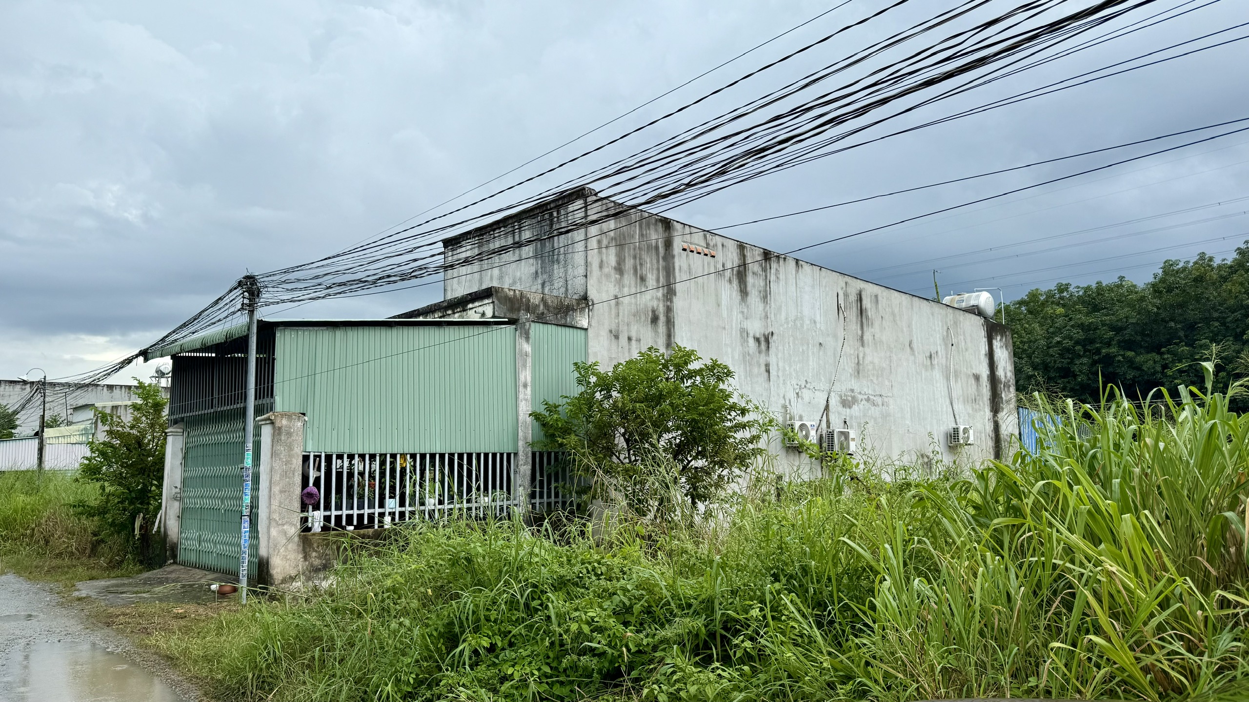  - Ảnh 1.