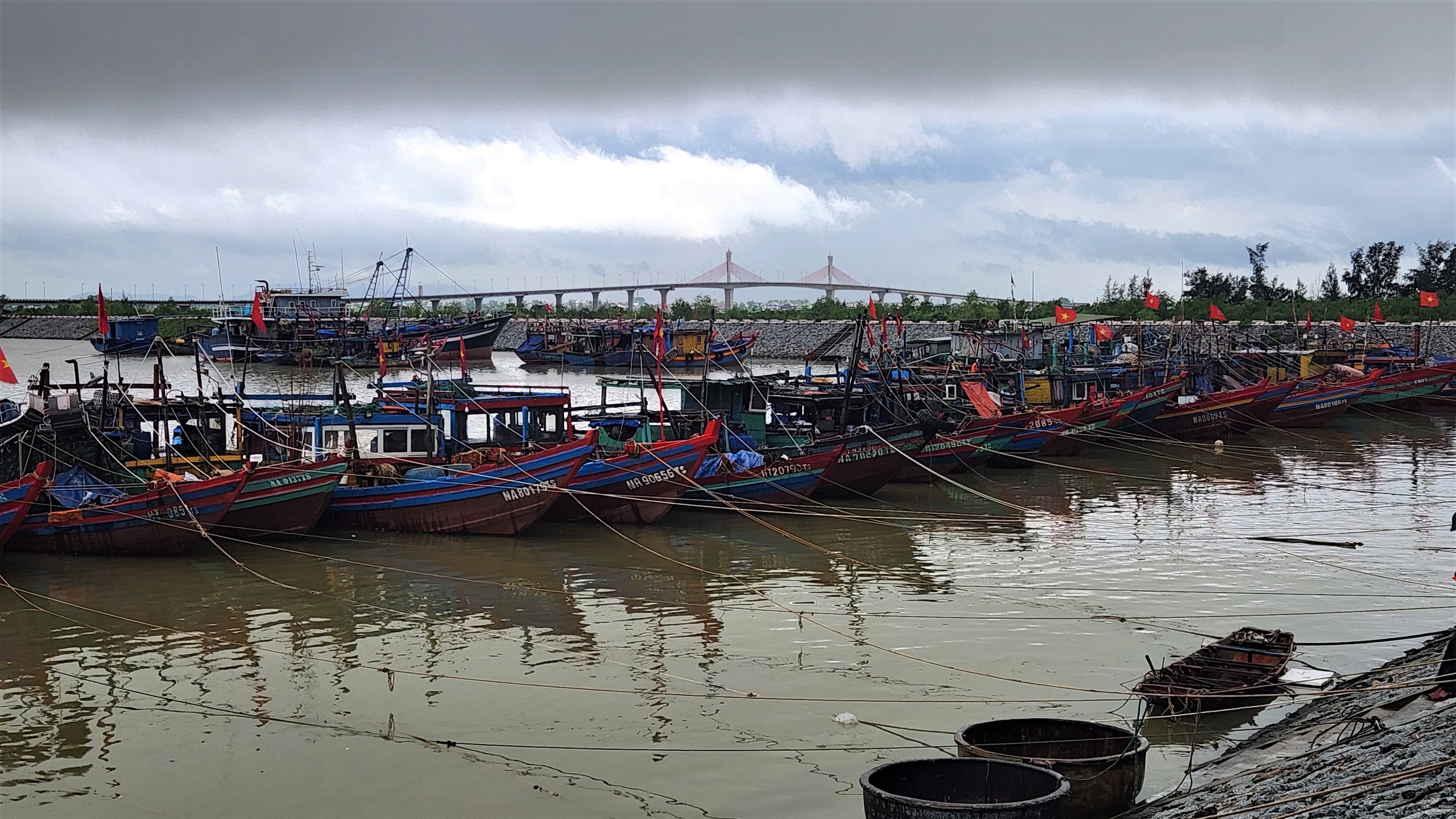 Bão số 10 (Bualoi): Hơn 200 người gia cố đê biển bị sạt lở ở Hà Tĩnh - Ảnh 8.
