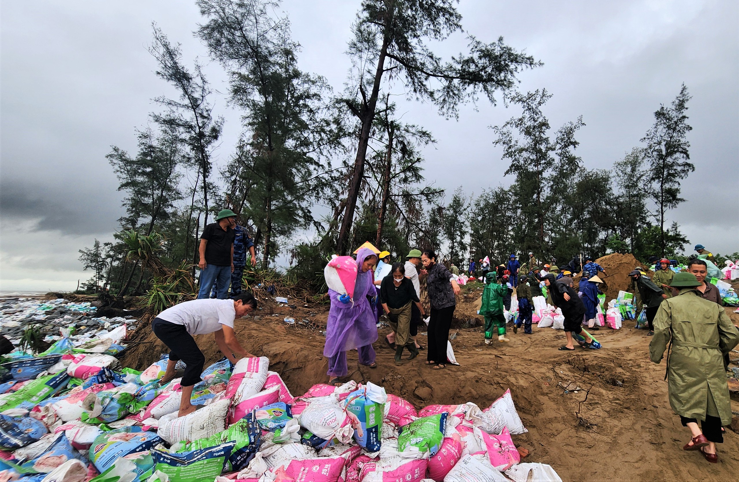 Bão số 10 (Bualoi): Hơn 200 người gia cố đê biển bị sạt lở ở Hà Tĩnh - Ảnh 4.