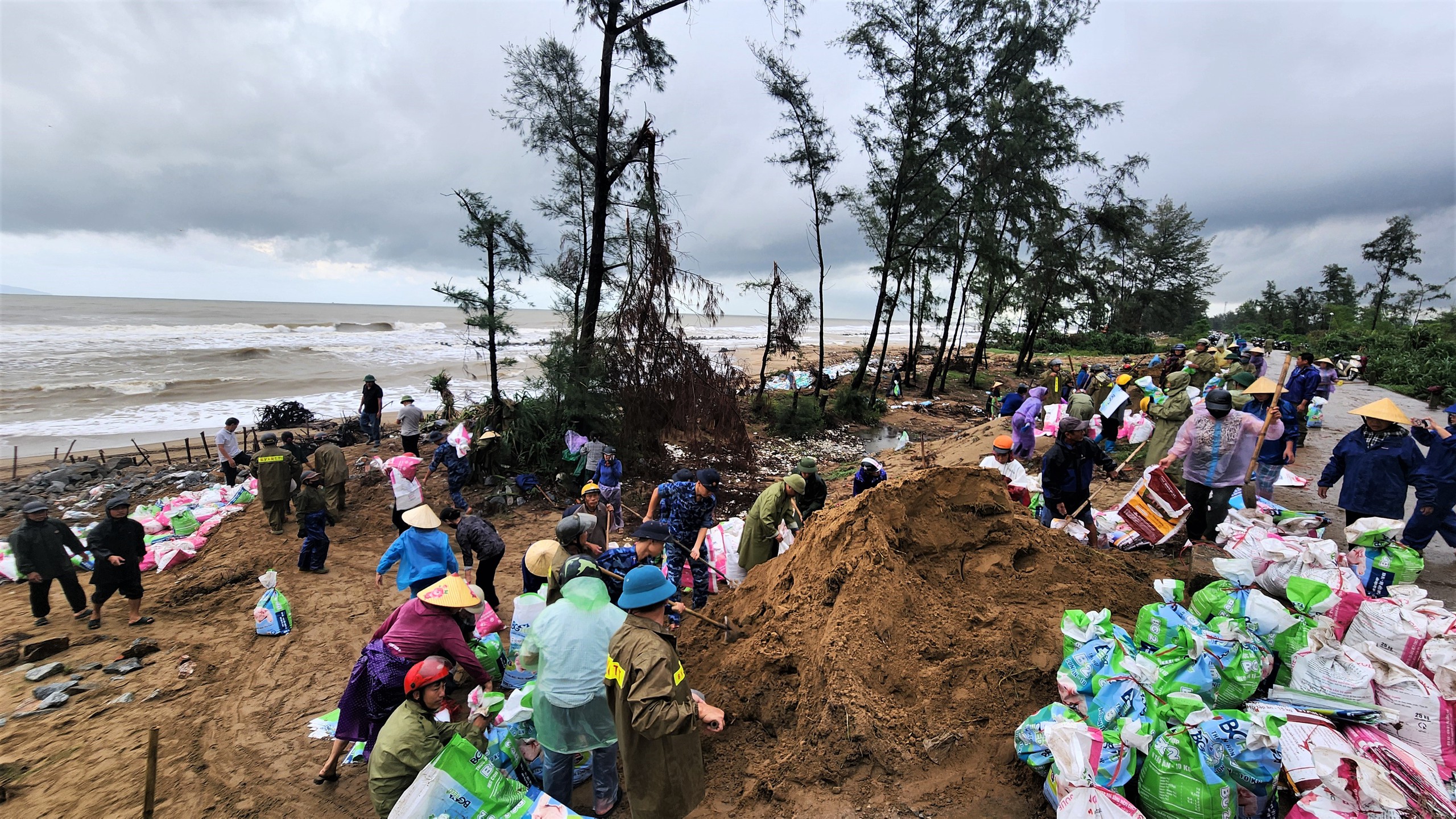 Bão số 10 (Bualoi): Hơn 200 người gia cố đê biển bị sạt lở ở Hà Tĩnh - Ảnh 1.