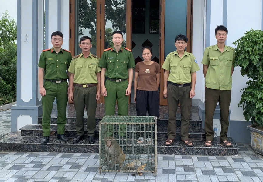 Khỉ mốc quý hiếm đi lạc vào nhà dân ở Hưng Yên - Ảnh 1.