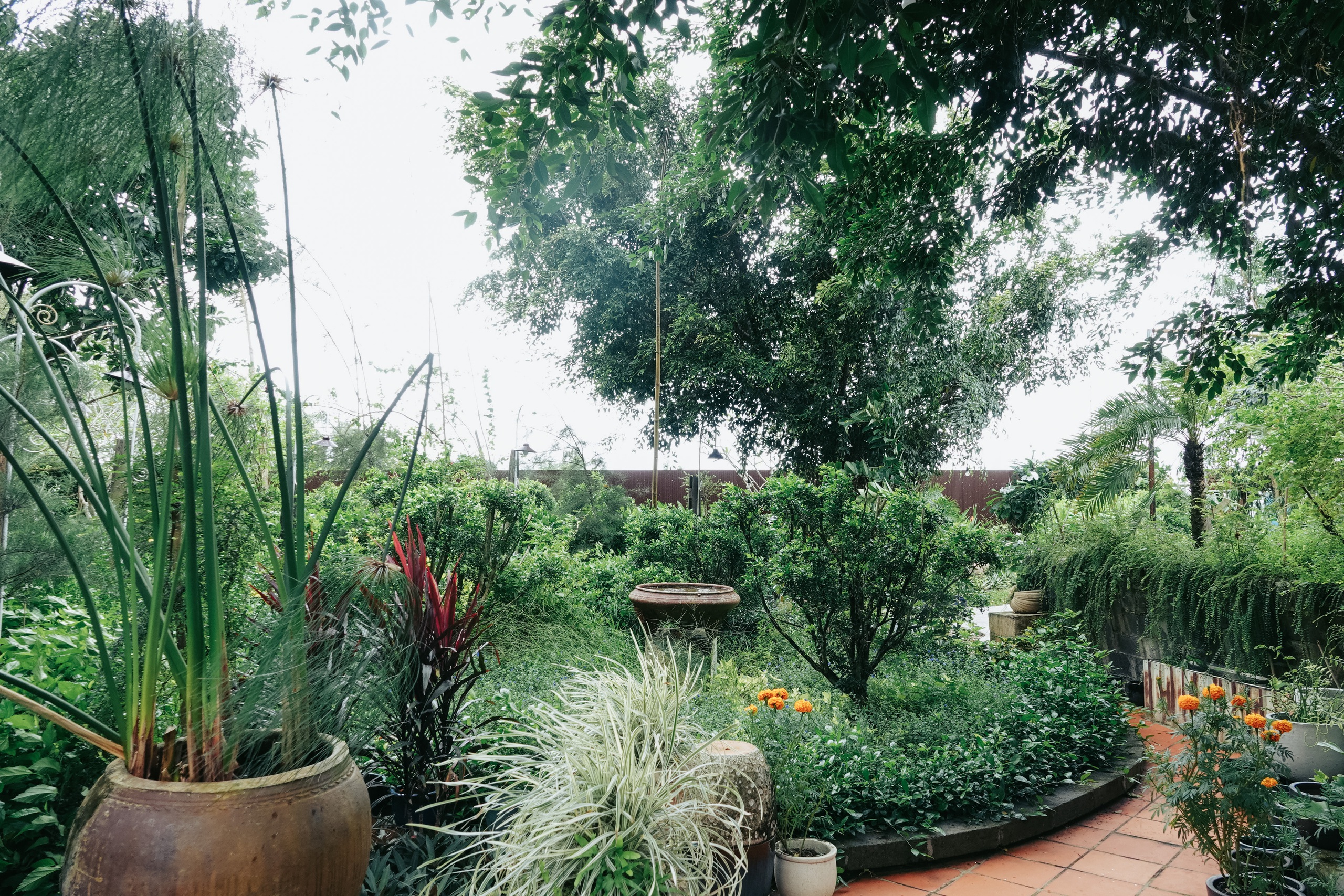 Qu&aacute;n c&agrave; ph&ecirc; hương đồng gi&oacute; nội 'n&iacute;u ch&acirc;n' giới trẻ Cần Thơ - Ảnh 3.